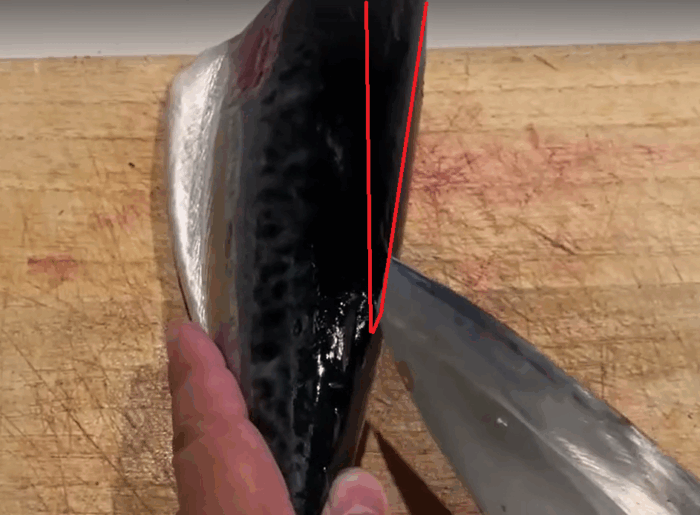 ソウダガツオの捌き方①